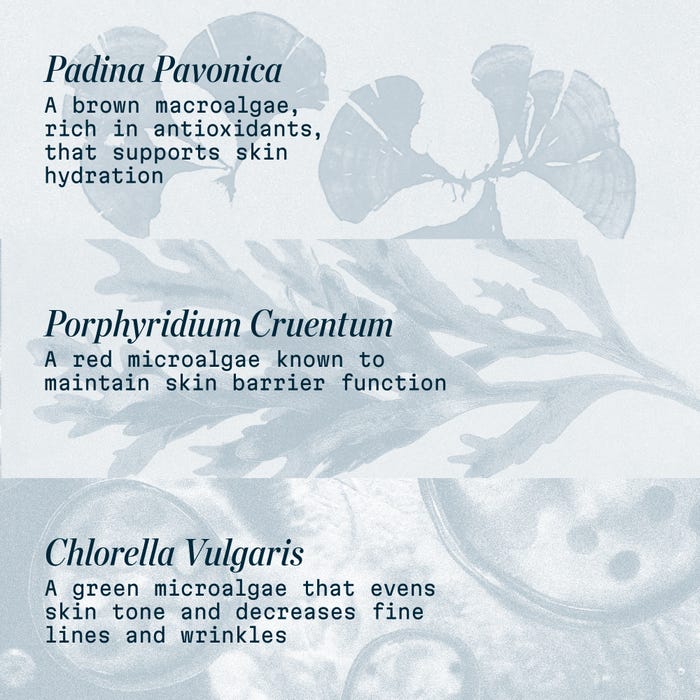 Pro-Collagen Marine Cream SPF 30